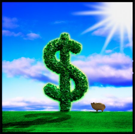 Pig Standing by Large Dollar Sign Fotografie stock - Rights-Managed, Codice: 700-00079235