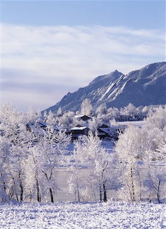 simsearch:700-00079627,k - Vue d'ensemble du paysage, arbres montagnes et cabines en hiver Boulder, Colorado, USA Photographie de stock - Rights-Managed, Code: 700-00079627