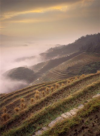 Overview of Terraced Rice Paddies In Fog, Longsheng Guangxi Region, China Stock Photo - Rights-Managed, Code: 700-00079833