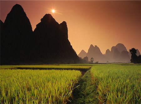 simsearch:862-06676225,k - Champs de riz récolté au coucher du soleil près de Yangshuo, Chine région du Guangxi Photographie de stock - Rights-Managed, Code: 700-00079855
