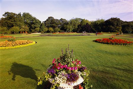 simsearch:700-00070509,k - Fleurs et arbres de St. Stephen Green Park Dublin, Irlande Photographie de stock - Rights-Managed, Code: 700-00070511