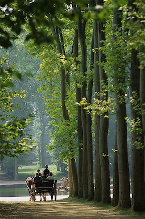 simsearch:700-00607340,k - Back View of Horse Drawn Carriage On Path through Trees Versailles, France Stock Photo - Rights-Managed, Code: 700-00070945