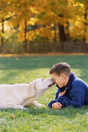 Boy and Dog Lying in Field in Autumn Stock Photo - Rights-Managed, Code: 700-00071488