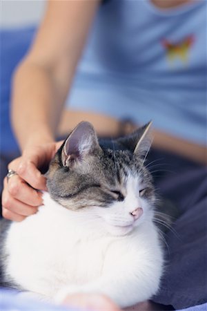 Cat Lying in Woman's Lap Fotografie stock - Rights-Managed, Codice: 700-00071650