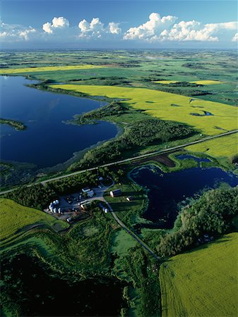 Aerial View of Canola Fields and Shoal Lake, Manitoba, Canada Stock Photo - Rights-Managed, Code: 700-00073154