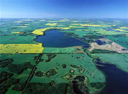 Vue aérienne des champs de Canola et de Shoal Lake, Manitoba, Canada Photographie de stock - Rights-Managed, Code: 700-00073159