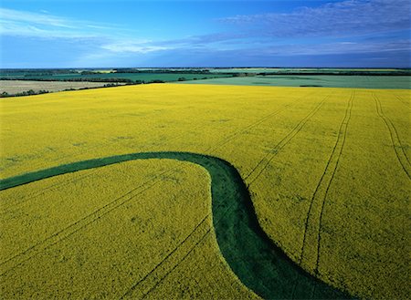 Aerial View of Canola and Alfalfa Fields, near Russell, Manitoba Canada Stock Photo - Rights-Managed, Code: 700-00073167