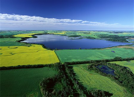 Aerial View of Canola Fields and Shoal Lake, Manitoba, Canada Stock Photo - Rights-Managed, Code: 700-00073160