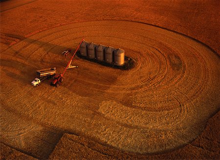 simsearch:700-00918471,k - Aerial View of Wheat Field and Grain Bins, Hamiota, Manitoba Canada Foto de stock - Con derechos protegidos, Código: 700-00073192