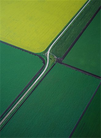 Aerial View of Field Crops and Road, Portage la Prairie Manitoba, Canada Stock Photo - Rights-Managed, Code: 700-00073201