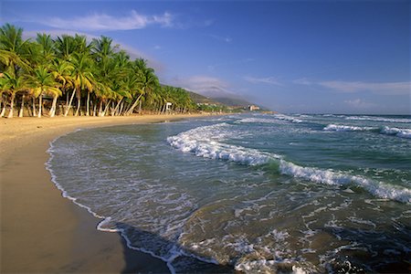 Vue plage et palmiers arbres Ile de Margarita, Venezuela Photographie de stock - Rights-Managed, Code: 700-00073712