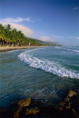 Vue plage et palmiers arbres Ile de Margarita, Venezuela Photographie de stock - Rights-Managed, Code: 700-00073713
