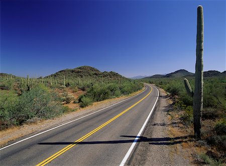 Route et paysage Organ Pipe Cactus National Monument, Arizona, USA Photographie de stock - Rights-Managed, Code: 700-00073996