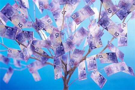 Tree with Canadian Ten Dollar Bills as Leaves Fotografie stock - Rights-Managed, Codice: 700-00084074