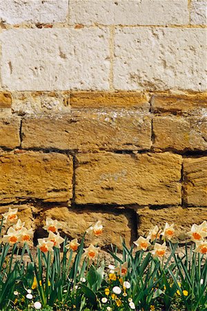 simsearch:700-00072003,k - Nahaufnahme der Mauer und Blumen-Normandie, Frankreich Stockbilder - Lizenzpflichtiges, Bildnummer: 700-00084561