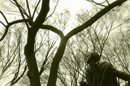 Statue and Trees in Central Park New York, New York, USA Stock Photo - Rights-Managed, Code: 700-00084752