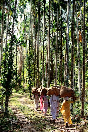 simsearch:700-00554575,k - Vue arrière du femmes portant des sacs de têtes à l'extérieur, îles Andaman, Inde Photographie de stock - Rights-Managed, Code: 700-00085868