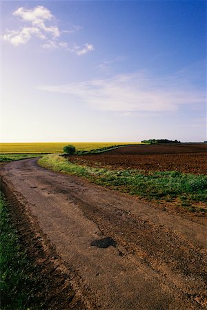 simsearch:700-00086412,k - Chemin de terre à travers champs France Photographie de stock - Rights-Managed, Code: 700-00086416