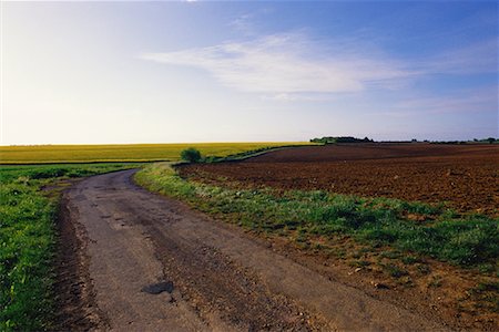 simsearch:700-00086412,k - Chemin de terre à travers champs France Photographie de stock - Rights-Managed, Code: 700-00086412