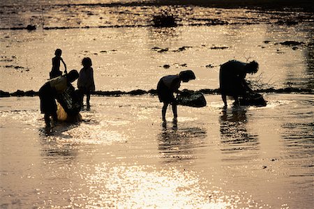 simsearch:700-00080152,k - Silhouette of People Sifting Through Shore at Sunset Siem Reap, Cambodia Stock Photo - Rights-Managed, Code: 700-00086631