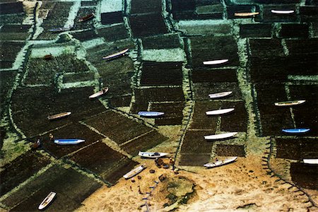 Culture d'algues Nusa Lembongan, Bali, Indonésie Photographie de stock - Rights-Managed, Code: 700-00087694