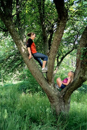 Girls in Tree Fotografie stock - Rights-Managed, Codice: 700-00088218