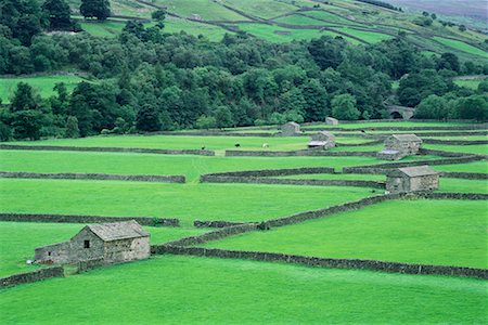 Maisons et terres agricoles Swaledale, Yorkshire, Angleterre Photographie de stock - Rights-Managed, Code: 700-00089143