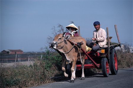 Farmer and Wife on Ox-Drawn Carriage, Taiwan Stock Photo - Rights-Managed, Code: 700-00080217