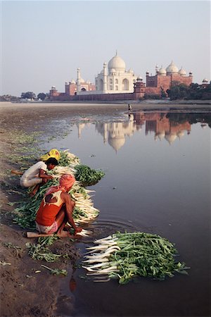 People Cleaning Vegetables in Shore near Taj Mahal Agra, India Stock Photo - Rights-Managed, Code: 700-00080210