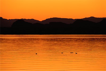 Lake Mead au crépuscule Southern Nevada, USA Photographie de stock - Rights-Managed, Code: 700-00081076