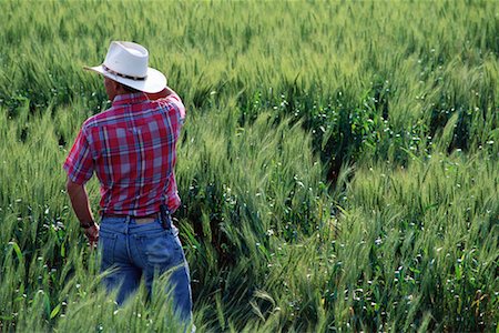 simsearch:700-00556591,k - Vue arrière du fermier debout dans le champ de blé Photographie de stock - Rights-Managed, Code: 700-00081134