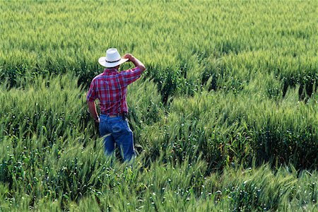 simsearch:700-00556591,k - Vue arrière du fermier debout dans le champ de blé Photographie de stock - Rights-Managed, Code: 700-00081132