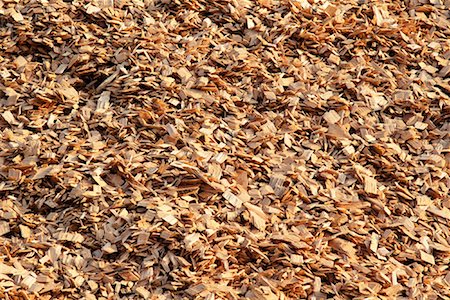 Close-Up of Wood Chips for Pulp and Paper Manufacturing Stock Photo - Rights-Managed, Code: 700-00081165