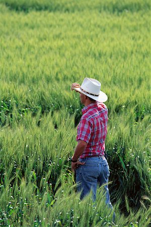 simsearch:700-00556591,k - Vue arrière du fermier debout dans le champ de blé Photographie de stock - Rights-Managed, Code: 700-00081213