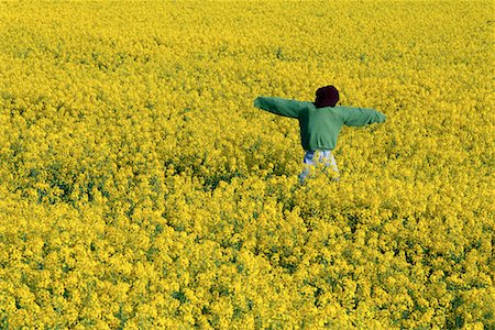 scarecrow farm - Scarecrow in Canola Field Stock Photo - Rights-Managed, Code: 700-00081999