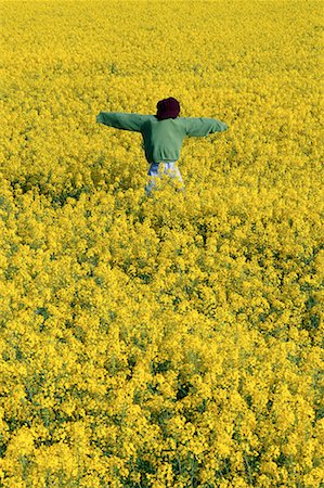 Scarecrow in Canola Field Stock Photo - Rights-Managed, Code: 700-00082000