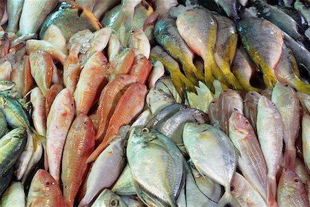 simsearch:700-02670079,k - Close-Up of Fish in Market Singapore Stock Photo - Rights-Managed, Code: 700-00082137