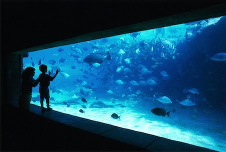 Mother and Child Looking at Fish In Aquarium, Atlantis Paradise Island, Bahamas Stock Photo - Rights-Managed, Code: 700-00082666