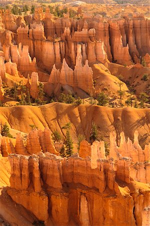 simsearch:700-00187462,k - Hoodoos Bryce Canyon National Park Utah, USA Stock Photo - Rights-Managed, Code: 700-00082803