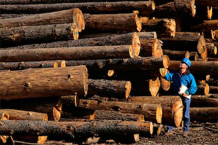 simsearch:700-00081166,k - Worker with Cut and Stacked Logs Fotografie stock - Rights-Managed, Codice: 700-00082949