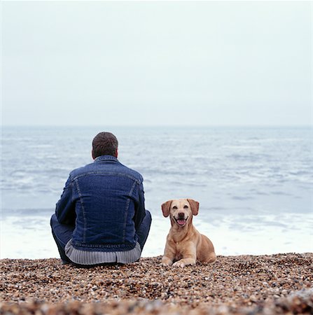 simsearch:700-00082052,k - Vue arrière d'un homme assis sur la plage avec chien Angleterre Photographie de stock - Rights-Managed, Code: 700-00083975