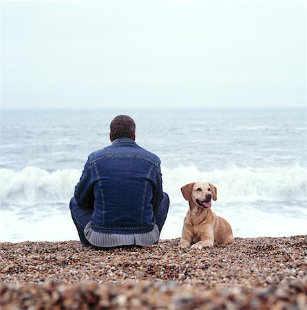 simsearch:700-00082052,k - Vue arrière d'un homme assis sur la plage avec chien Angleterre Photographie de stock - Rights-Managed, Code: 700-00083976