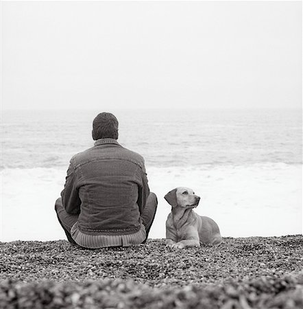 simsearch:700-00082052,k - Vue arrière d'un homme assis sur la plage avec chien Angleterre Photographie de stock - Rights-Managed, Code: 700-00083977