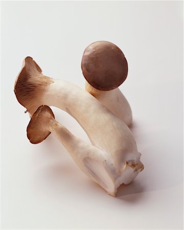 King Oyster Mushroom Stock Photo - Rights-Managed, Code: 700-00094047