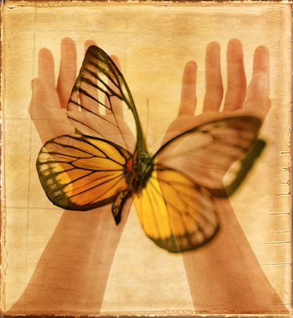Hands and Butterfly Foto de stock - Con derechos protegidos, Código: 700-00094424
