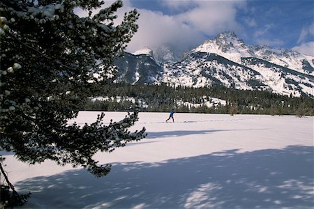 simsearch:700-00079627,k - Mont Jackson, Wyoming Photographie de stock - Rights-Managed, Code: 700-00096305