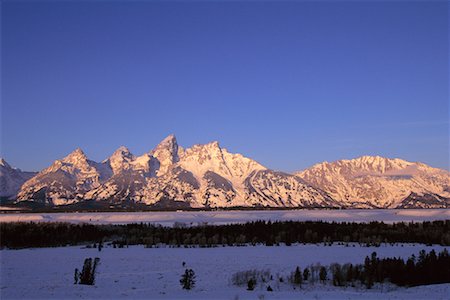 simsearch:700-00079627,k - Mont Jackson, Wyoming Photographie de stock - Rights-Managed, Code: 700-00096307