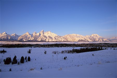 simsearch:700-00079627,k - Mont Jackson, Wyoming Photographie de stock - Rights-Managed, Code: 700-00096308