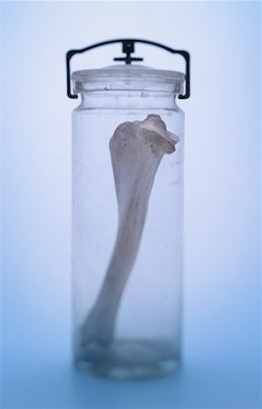 severed bone - Bone in Jar Stock Photo - Rights-Managed, Code: 700-00098388