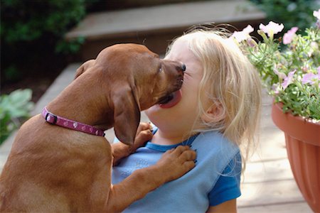 dog lick ã  girl - Puppy Licking Girl's Face Stock Photo - Rights-Managed, Code: 700-00099104